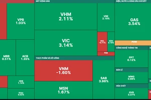 Nhóm cổ phiếu vốn hoá lớn góp phần lớn vào đà tăng của VN-Index trong phiên giao dịch khai xuân ngày 27-1