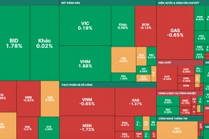 VN-Index tăng điểm nhưng “xanh vỏ đỏ lòng”