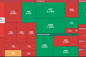 VN-Index giảm nhẹ do nhiều cổ phiếu trụ tăng điểm 