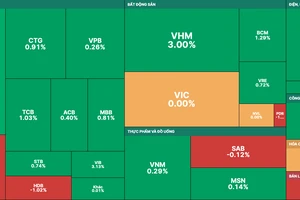 20/30 cổ phiếu trong rổ VN30 tăng trong phiên đáo hạn phái sinh ngày 18-5