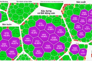 Nhiều cổ phiếu xanh và tím trên thị trường ngày 13-6