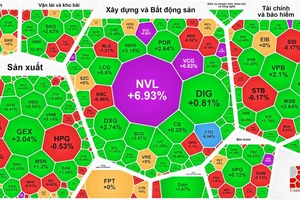 NVL tăng kịch trần vì hút được dòng tiền lớn 