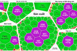 Nhiều cổ phiếu phân bón đồng loạt tăng trần 