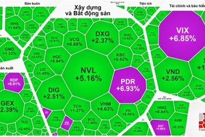Mặc dù VN-Index chỉ tăng gần 1 điểm nhưng thị trường vẫn nhiều sắc xanh và tím 