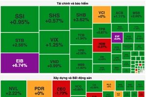 Nhóm cổ phiếu ngân hàng dậy sóng kéo VN-Index tăng 