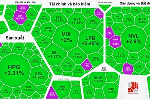 Tiền đổ vào chứng khoán, bảng điện ngập sắc xanh và tím