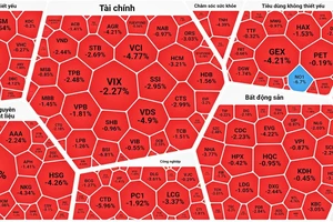 Bán tháo, chứng khoán “cắm đầu”