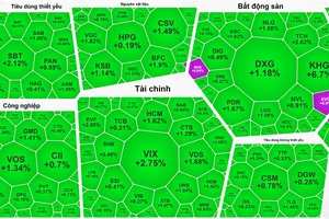 Khối ngoại tăng mua ròng, chứng khoán ngập tràn sắc xanh