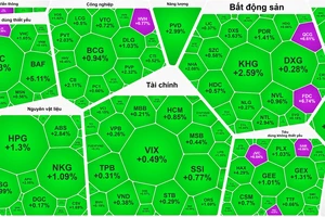 Khối ngoại chấm dứt chuỗi bán ròng 7 phiên, chứng khoán tăng trở lại