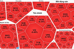 Tiền vào bắt đáy, chứng khoán vẫn “rơi” mạnh