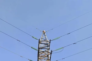Giải cứu người phụ nữ leo lên cột điện cao thế ở TP Thủ Đức