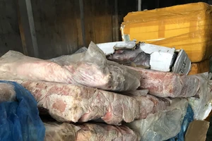 Phát hiện 2 thùng container chứa 10 tấn nội tạng, thịt động vật trôi nổi