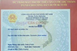 Người gốc Việt Nam chưa xác định được quốc tịch được cấp giấy chứng nhận căn cước