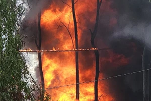 Ngọn lửa bùng cháy tại xưởng nón bảo hiểm ở quận Bình Tân, TPHCM
