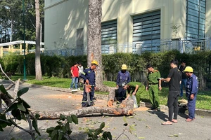 Công an khám nghiệm hiện trường 