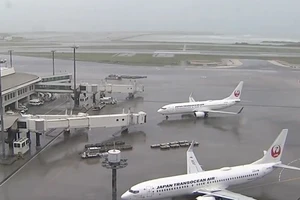 Hủy nhiều chuyến bay đi, đến Nhật Bản và Hàn Quốc do bão Tapah