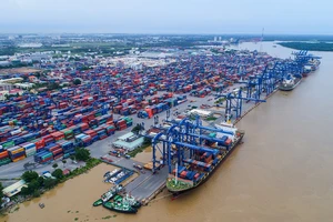  Cảng Cát Lái (TPHCM) ùn ứ container trong khi lực lượng lao động bị thiếu hụt