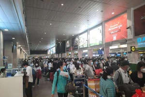 Các quầy làm thủ tục tại sân bay Tân Sơn Nhất