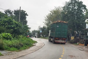 Xe quá tải tăng gấp 6,6 lần trên địa bàn tỉnh Quảng Trị