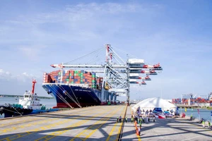 Dịch vụ bốc dỡ container tại cảng có khung giá mới