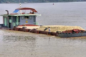 Mở đợt cao điểm xử lý phương tiện thủy vi phạm trên sông Hồng