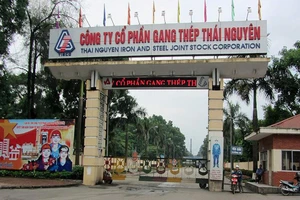 Kiến nghị điều tra nhiều nội dung sai phạm tại Công ty Gang thép Thái Nguyên