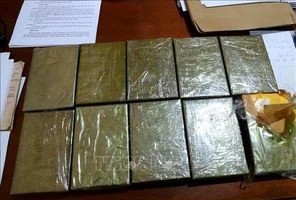 Lợi dụng “luồng xanh” để vận chuyển ma túy từ Tây Bắc về Hà Nội tiêu thụ 
