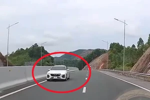 Xử phạt tài xế chạy ngược chiều trên cao tốc Hạ Long - Vân Đồn