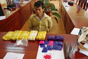 Bắt đối tượng vận chuyển 30.000 viên ma túy tổng hợp từ Lào vào Việt Nam