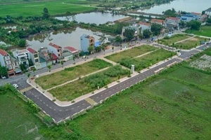 Hà Nội: Công an xác minh đấu giá đất bất thường ở huyện Thanh Oai 