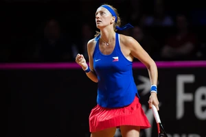 Cánh chom không mỏi Kvitova