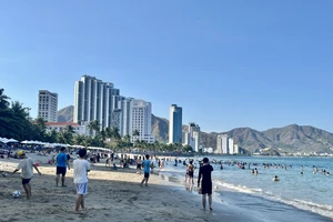 Biển Nha Trang xuất hiện sứa lửa gây nguy hiểm cho người tắm biển