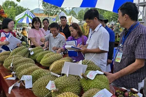 Vùng núi Khánh Sơn đón du khách về dự Lễ hội Trái cây năm 2024