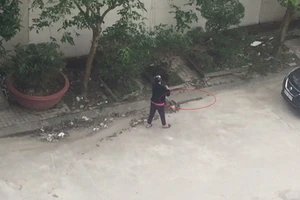 Một phụ nữ bị phạt hành chính do vứt rác xuống cống thoát nước 