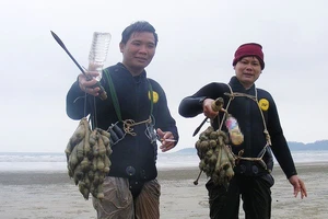 Kỳ thú nghề săn rum biển
