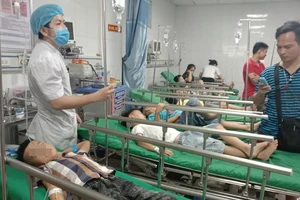 16 học sinh tiểu học ở Nghệ An nhập viện vì bị ong đốt