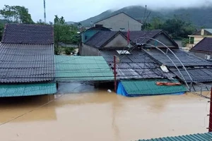 Nghệ An: Ngập lụt, nguy cơ sạt lở nhiều nơi, di dời dân khẩn cấp