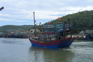 Tàu cá về cảng Lạch Quèn (huyện Quỳnh Lưu). Ảnh minh họa