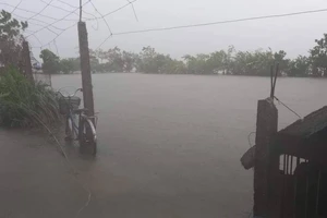 Nghệ An: Mưa lớn gây ngập lụt, sạt lở nhiều nơi
