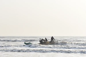 Ngư dân Thanh Hóa, Hà Tĩnh làm lễ “mở biển”, xuất hành lấy may đầu năm