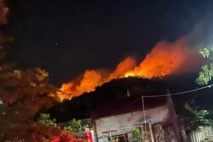 Khống chế vụ cháy rừng trong đêm ở Nghệ An