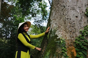 Đầu xuân khám phá di sản rừng thiêng Lam Kinh