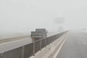 Hình ảnh xe tải chạy ngược chiều trên cao tốc Nghi Sơn - Diễn Châu. Ảnh cắt từ clip