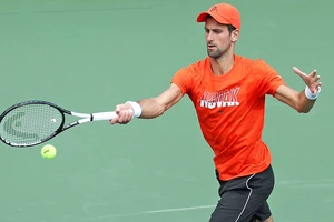 Novak Djokovic đang tập luyện ở Indian Wells Tennis Garden
