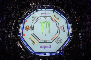 Bát giác đài - biểu tượng của UFC nói riêng và MMA nói chung