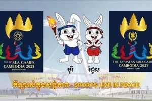 Chủ nhà Campuchia của SEA Games 32 miễn phí bản quyền truyền hình cũng như miễn phí vào cửa theo dõi thi đấu tại sân vận động và nhà thi đấu. Ảnh: CAMSOC