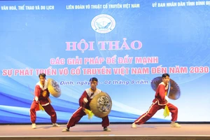 Võ cổ truyền Việt Nam đang ngày càng được bạn bè thế giới biết tới cũng như có nhiều địa phương trong cả nước phát triển. Ảnh: MINH MINH