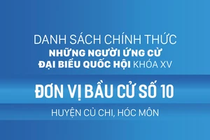 Đơn vị bầu cử số 10 (huyện Củ Chi, huyện Hóc Môn)