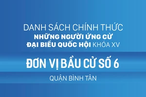 Đơn vị bầu cử số 6 (quận Bình Tân)