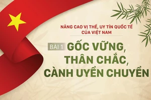Nâng cao vị thế, uy tín quốc tế của Việt Nam - Bài 1: Gốc vững, thân chắc, cành uyển chuyển
